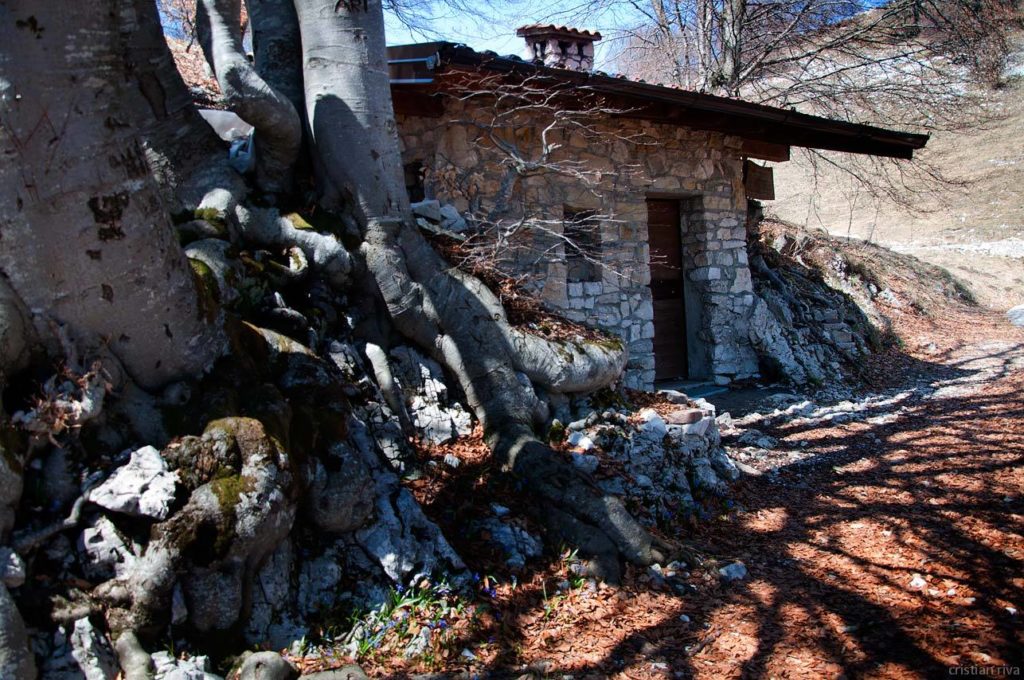Monte Pizzoccolo dalla Cresta Sud