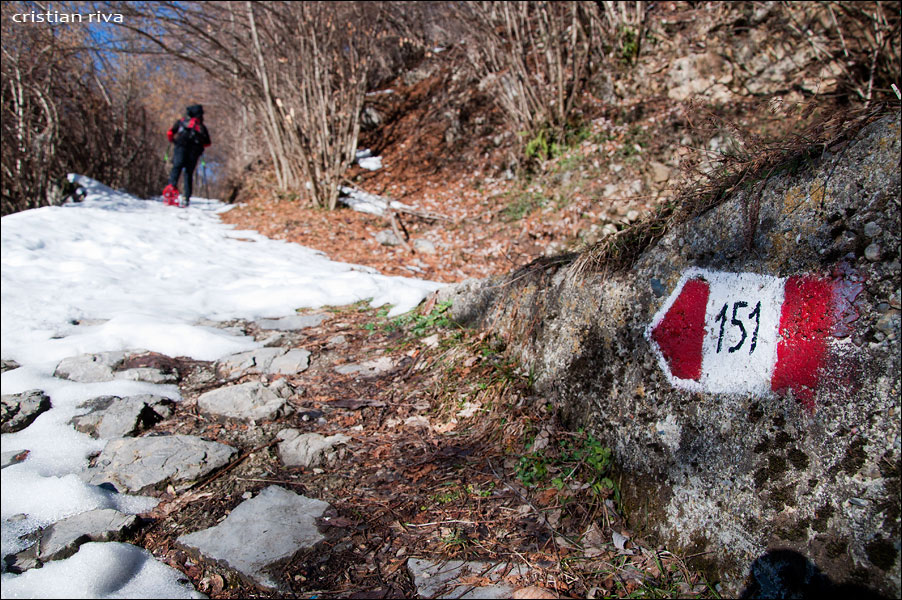 Ciaspolata sul Sodadura da Avolasio