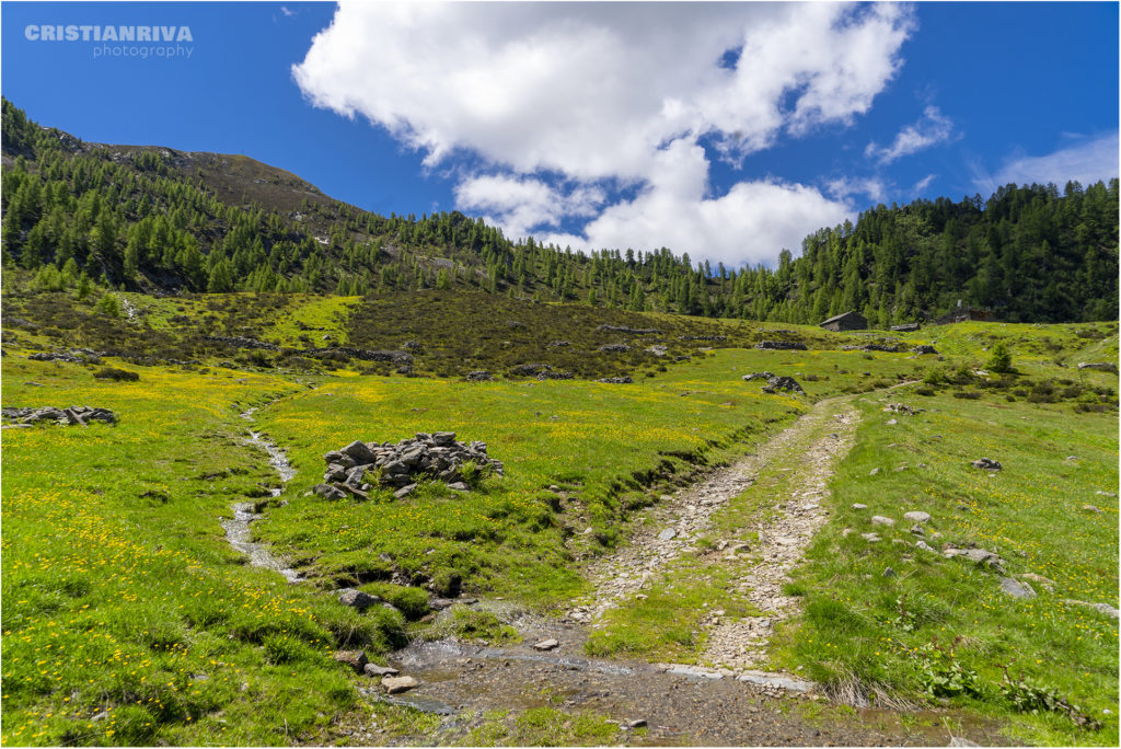 Pizzo Meriggio