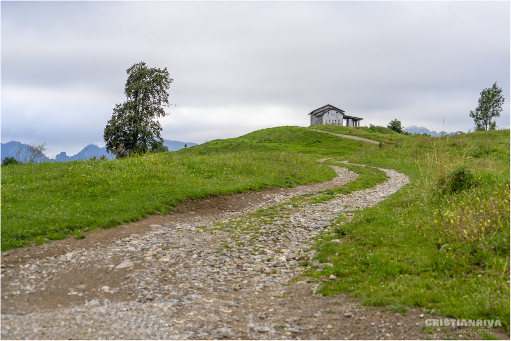 Monta Ario