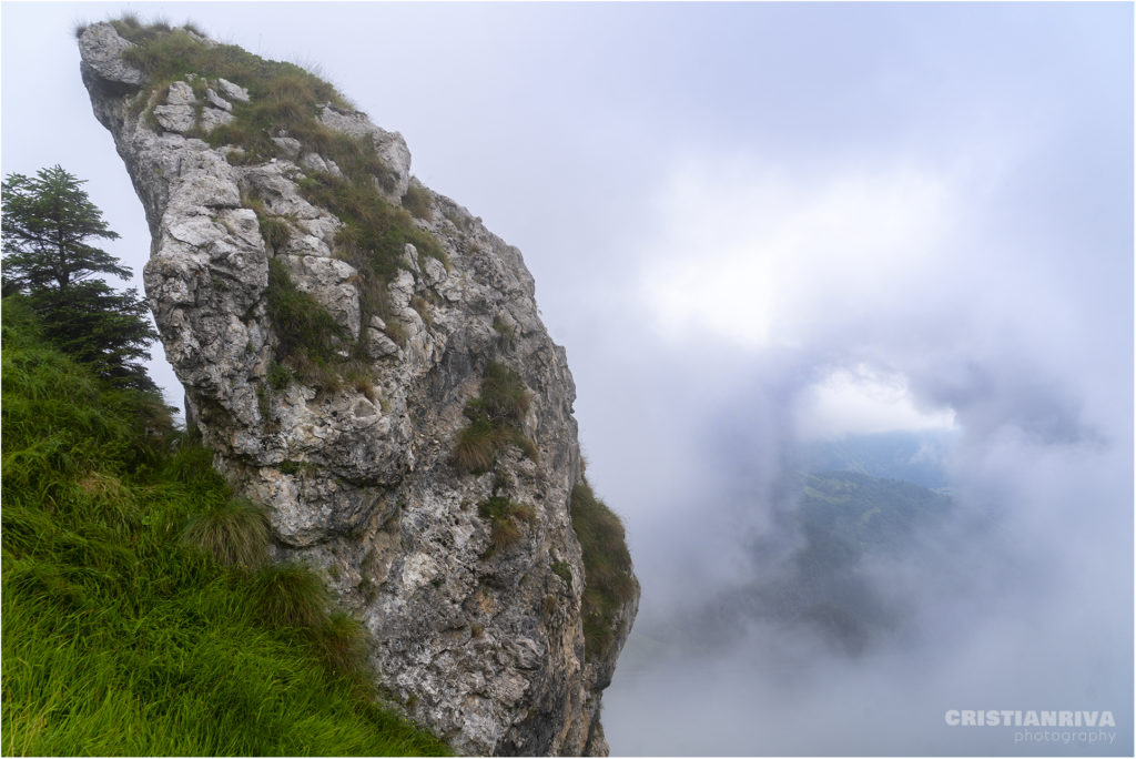 Monte Ario