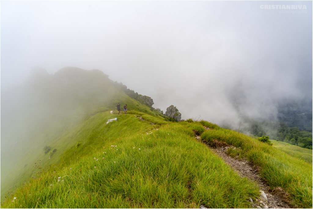 Monte Ario