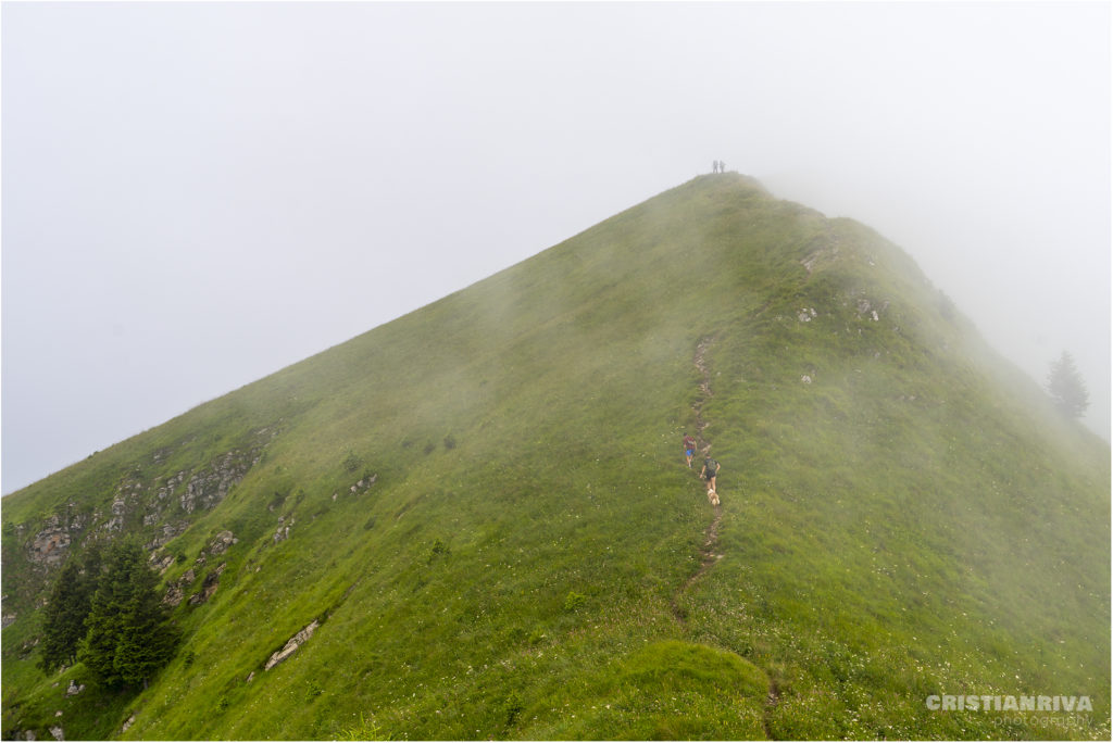 Monte Ario