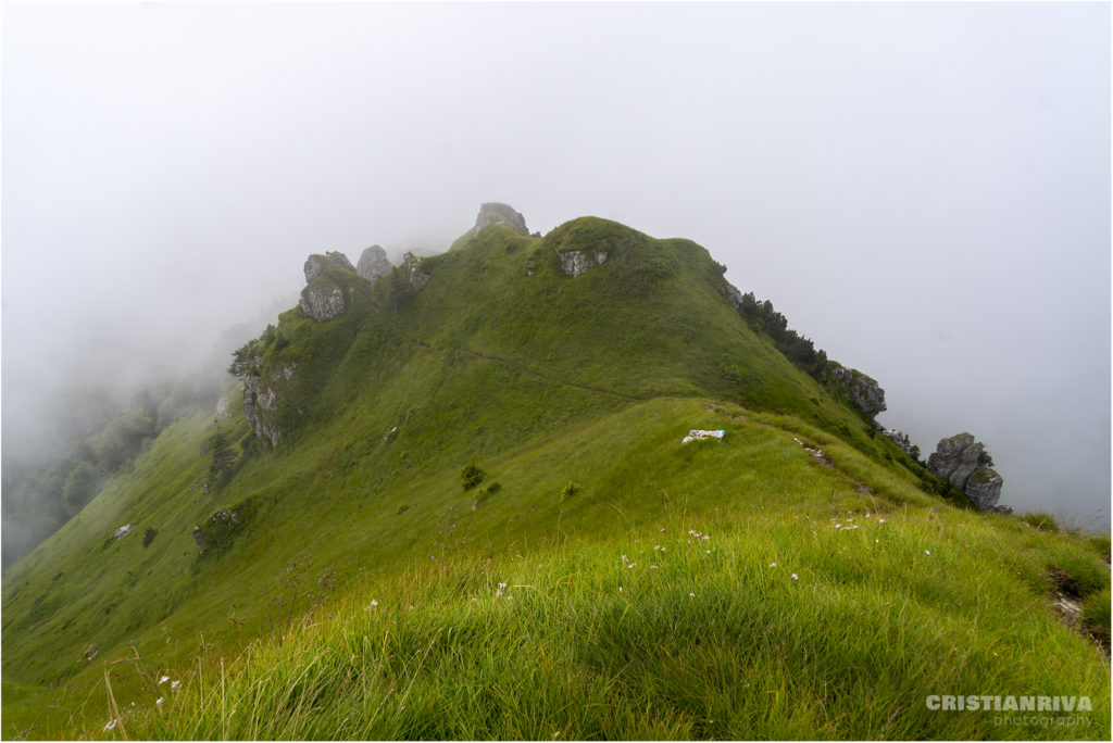 Monte Ario