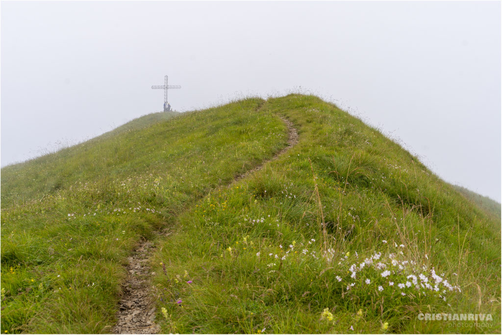 Monte Ario: la vetta