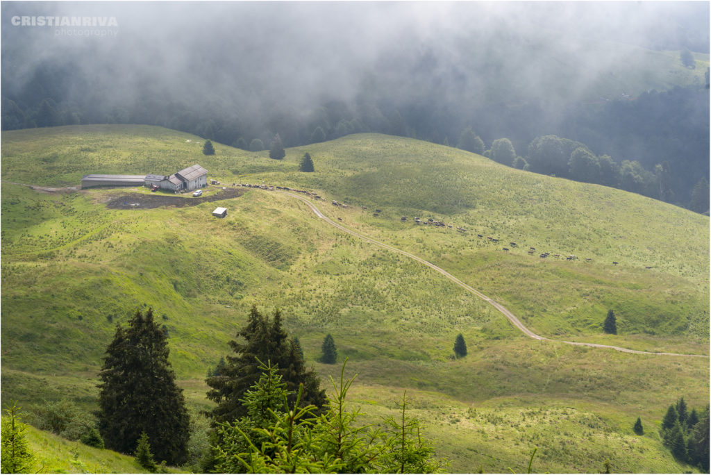 Monte Ario: malga Campo di Nasso