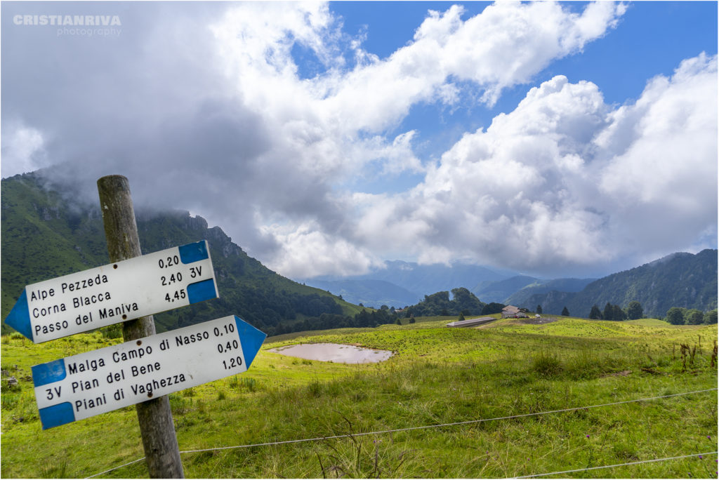 Monte Ario: malga Campo di Nasso