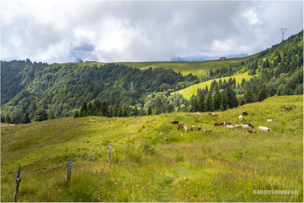 Monte Ario