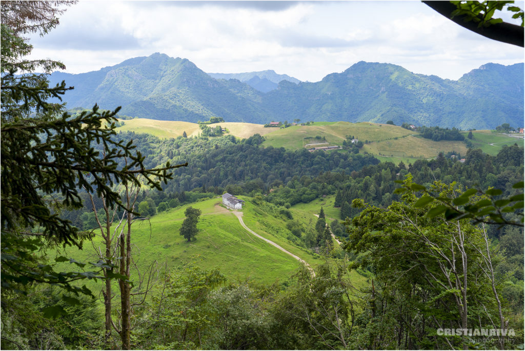Monte Ario