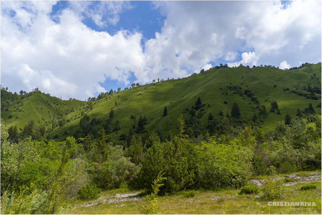 Cima Buldet