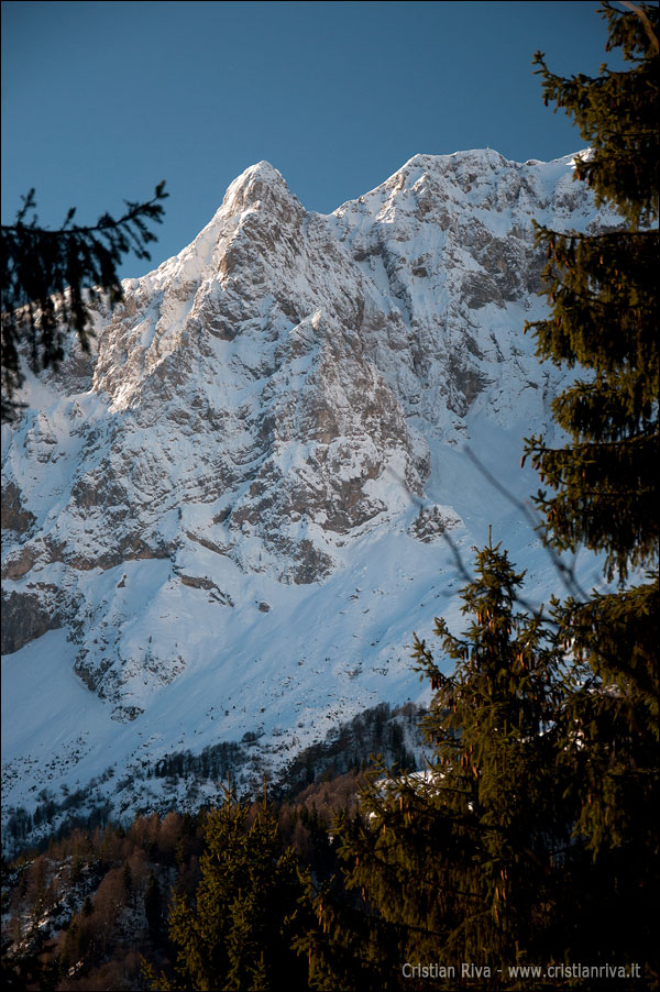 Ciaspolata sul monte Campagano