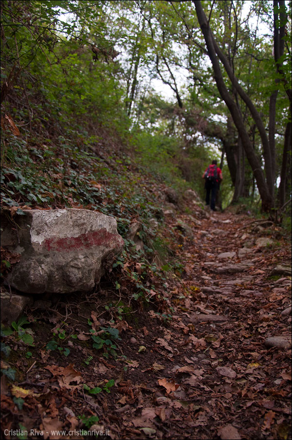 Sentiero dei Castagni in valle San Martino