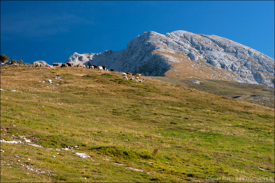 Pizzo Arera - Canalino nord