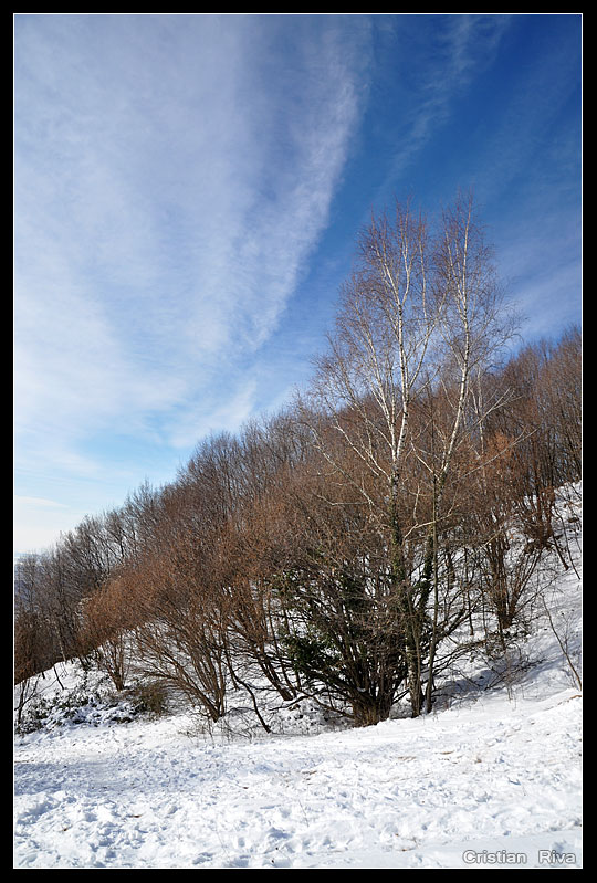 Ciaspolata sul monte Linzone