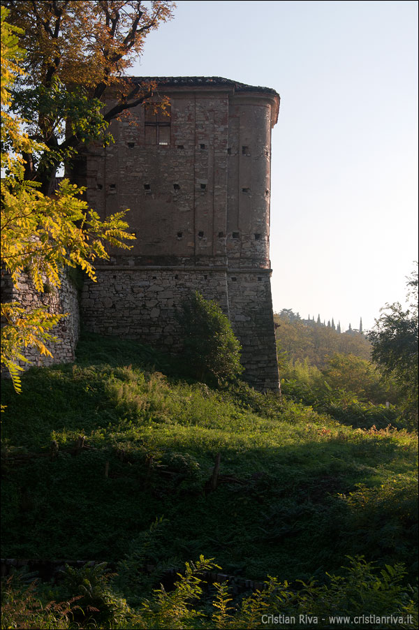 Torbiere del Sebino