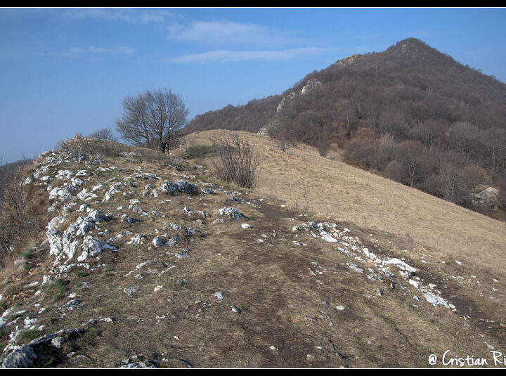 Canto Alto da Monte di Nese