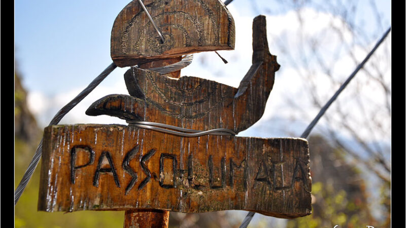 Sentiero del passo di lumaca