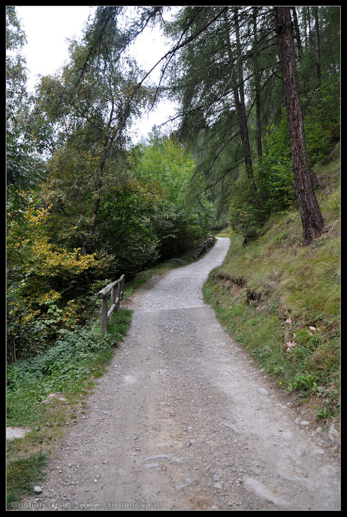 Escursione in val Grande e alla capanna Saverio Occhi