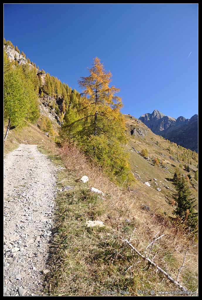 Monte Venina e Monte Masoni