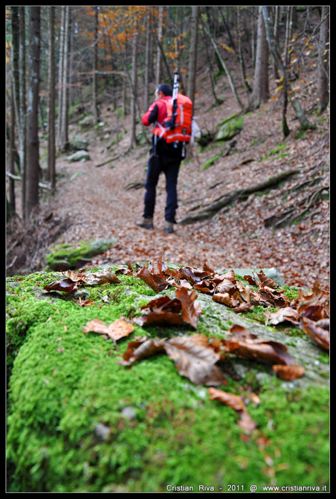 Val Sanguigno in autunno