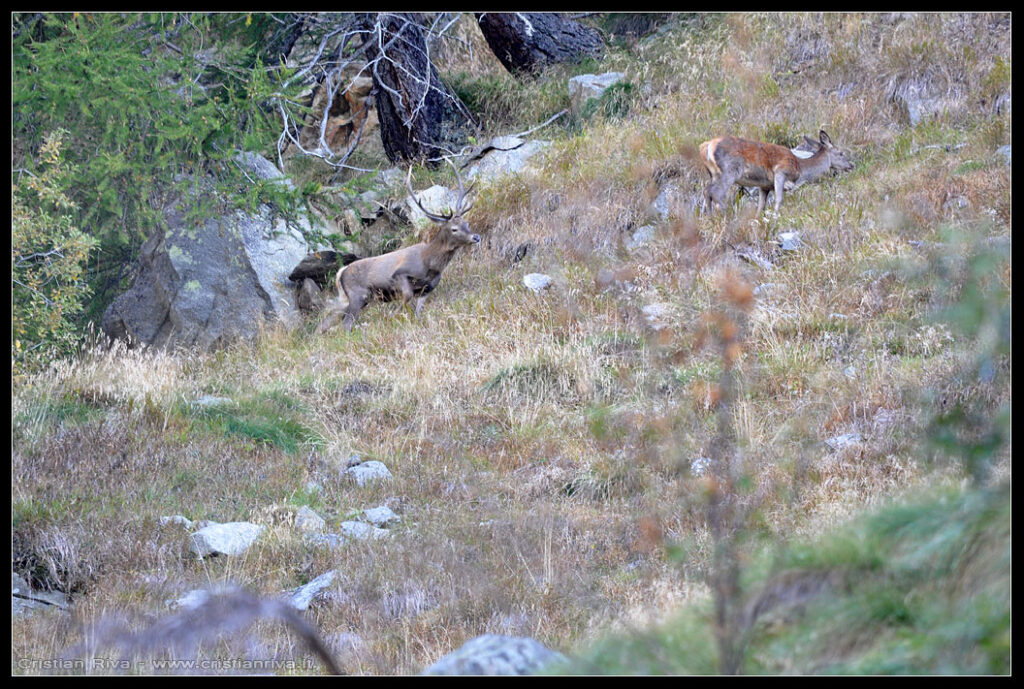 Escursione in val Grande e alla capanna Saverio Occhi