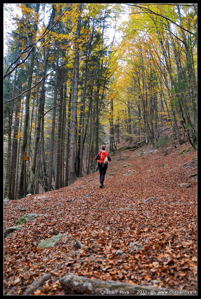 Val Sanguigno in autunno