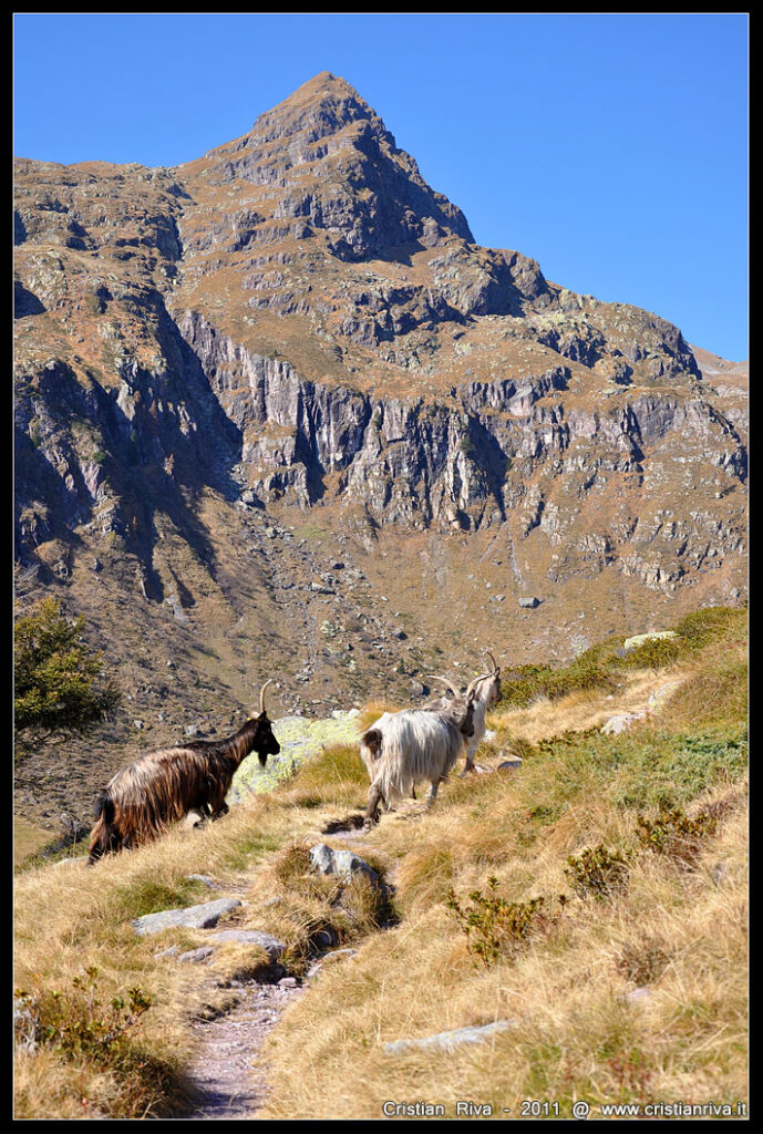 Val Sanguigno in autunno