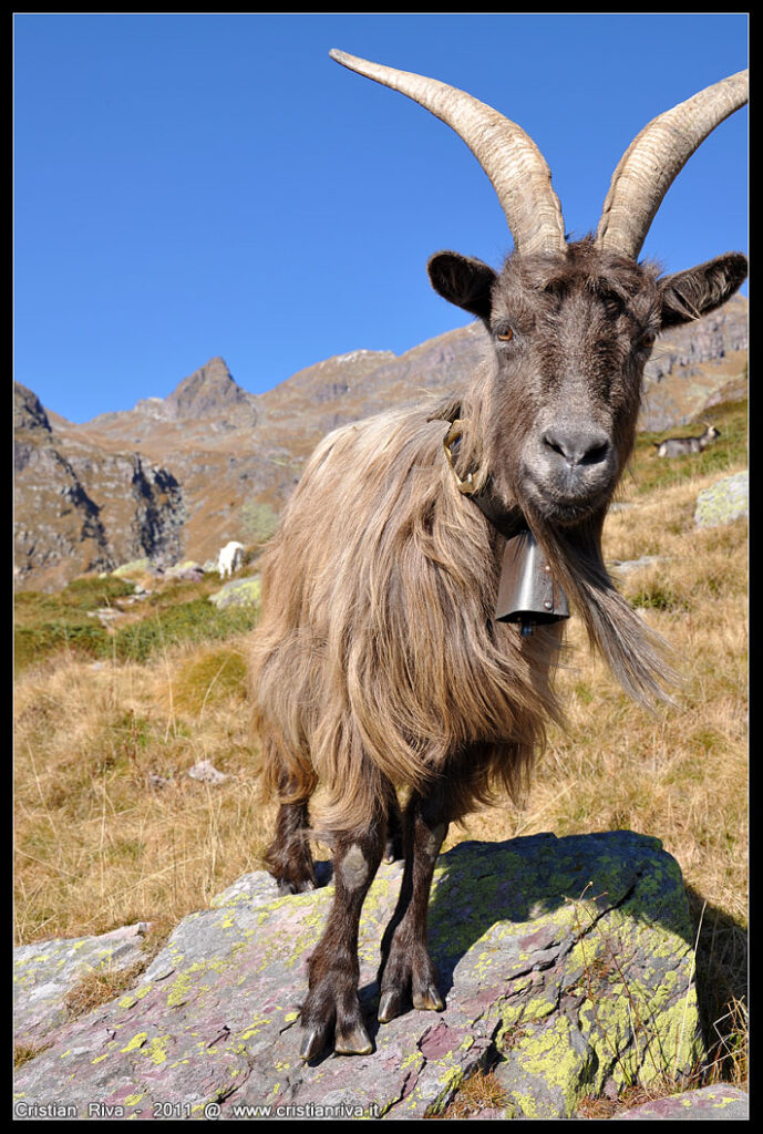 Val Sanguigno in autunno