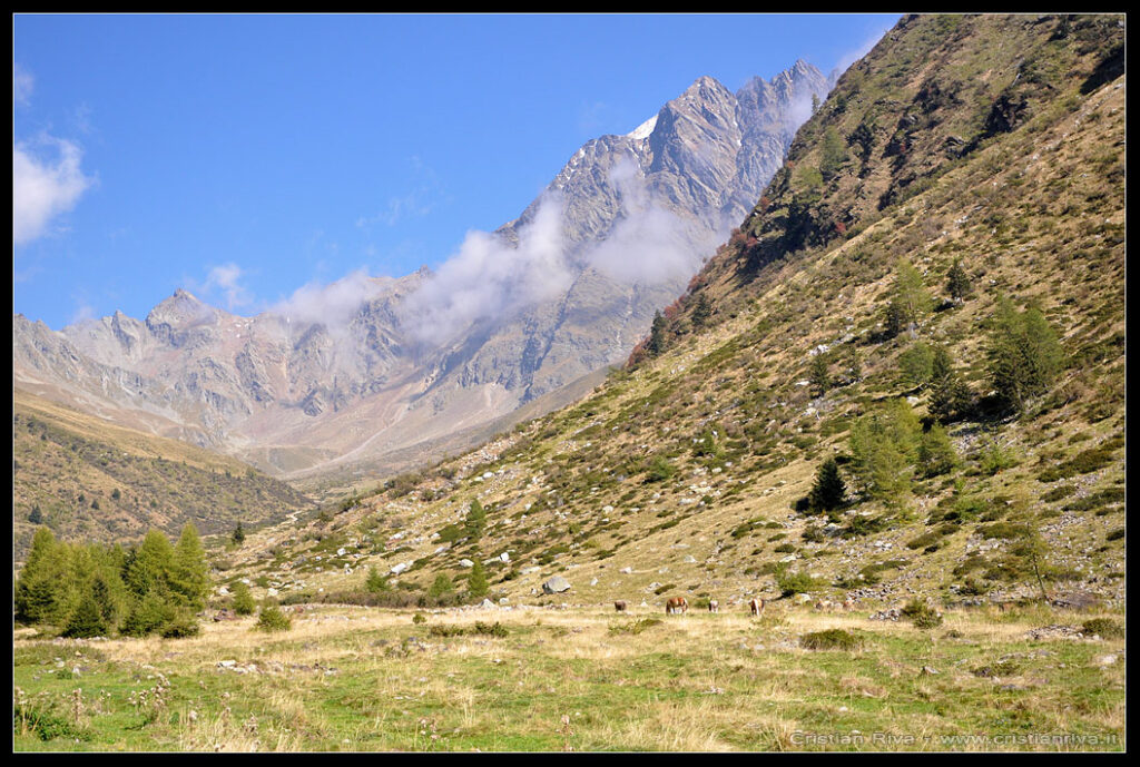 Escursione in val Grande e alla capanna Saverio Occhi