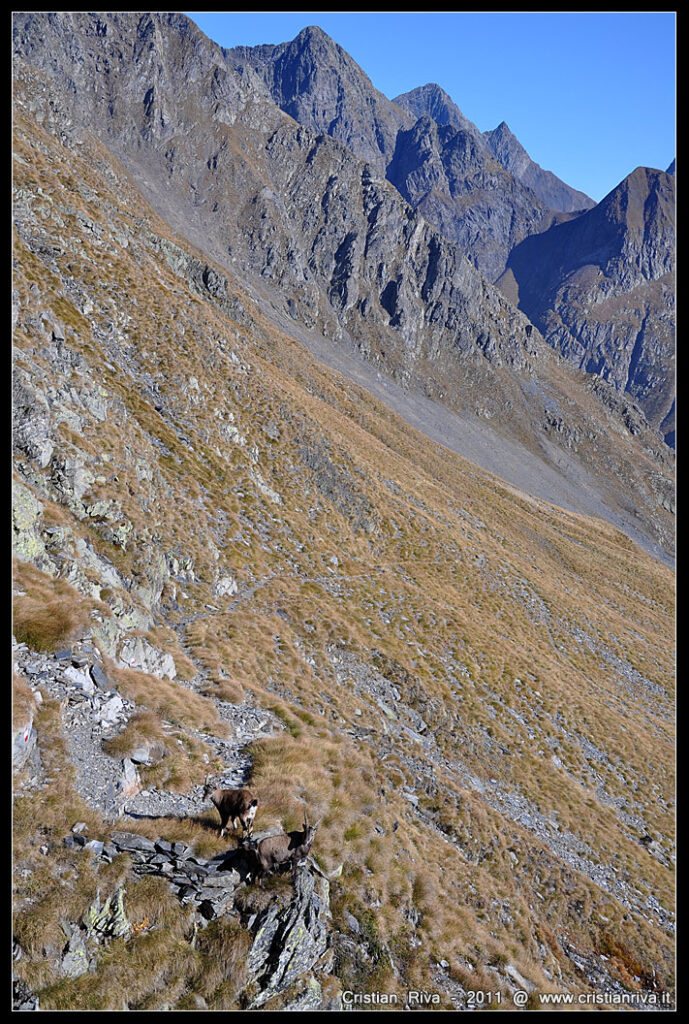 Monte Venina e Monte Masoni