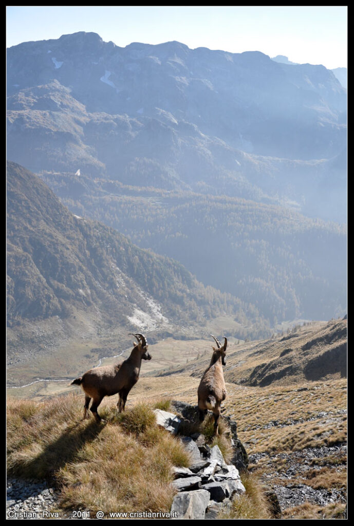 Monte Venina e Monte Masoni