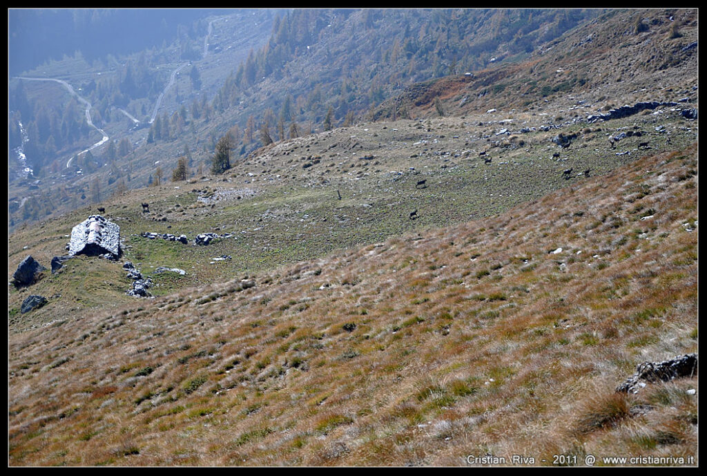 Monte Venina e Monte Masoni