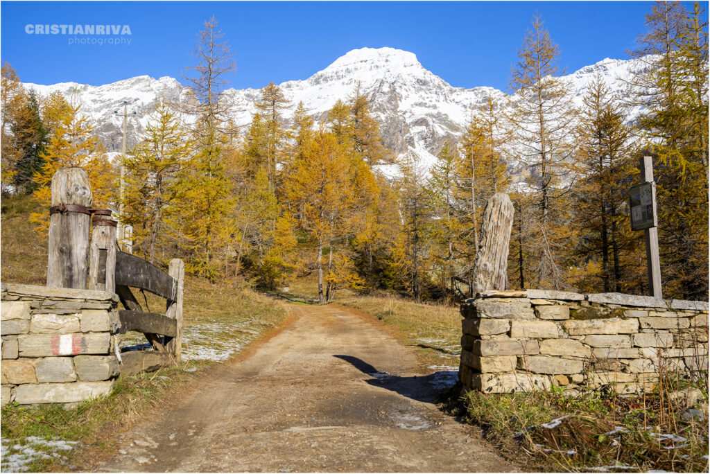 Alpe Veglia