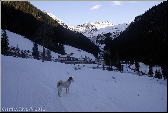 Ciaspolata al Passo San Marco