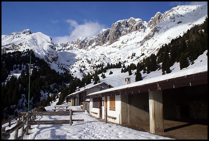 Ciaspolata alla Baita Cassinelli