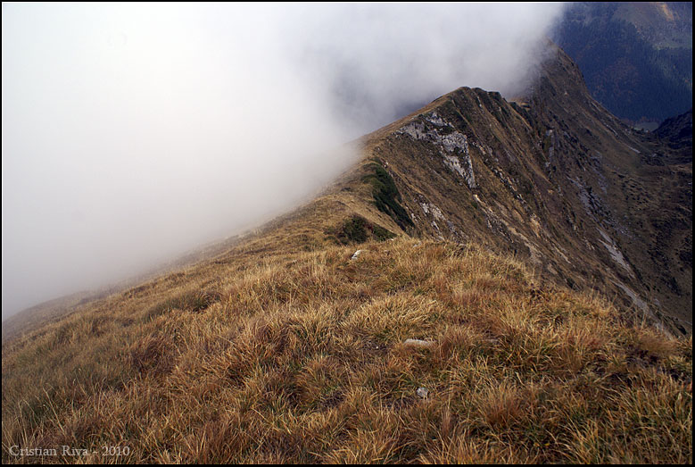 Monte Timogno e Cima Benfit ad anello