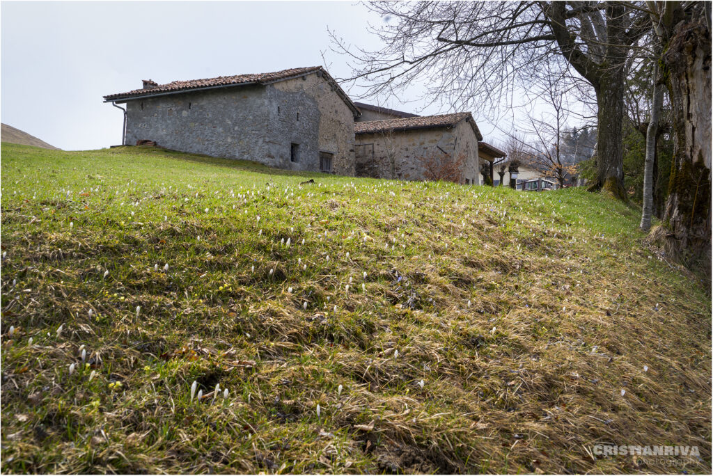 Sulle orme dei partigiani Falce e Martello