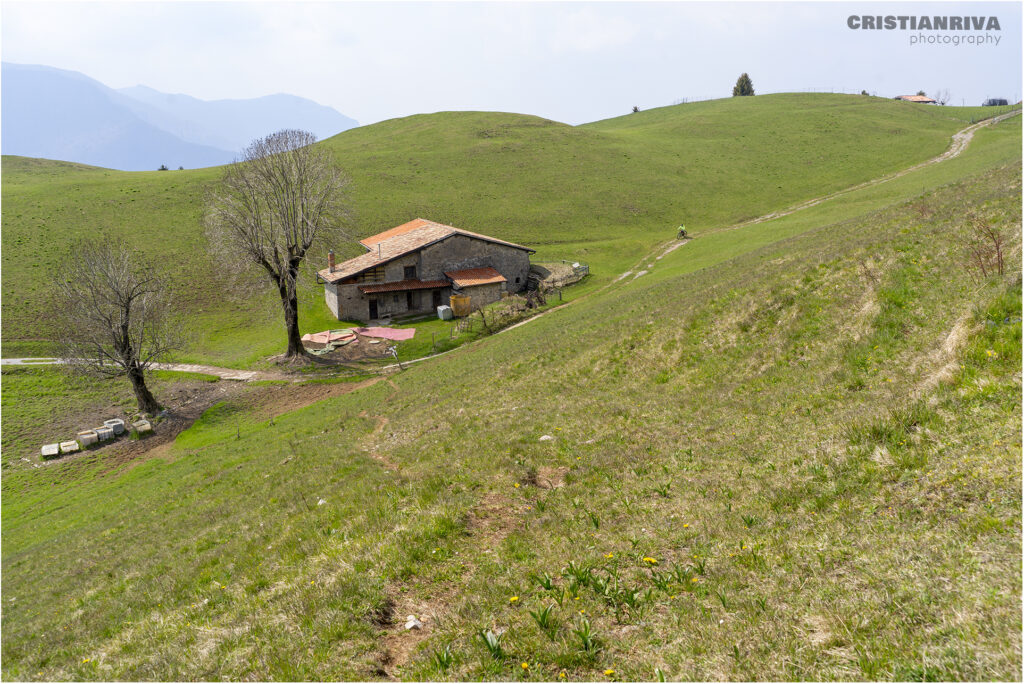 Rifugio museo Malga Lunga da Palate