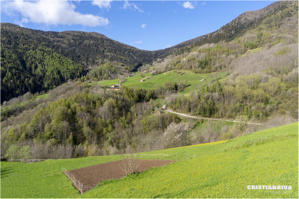 Al Passo Mortirolo da Monno