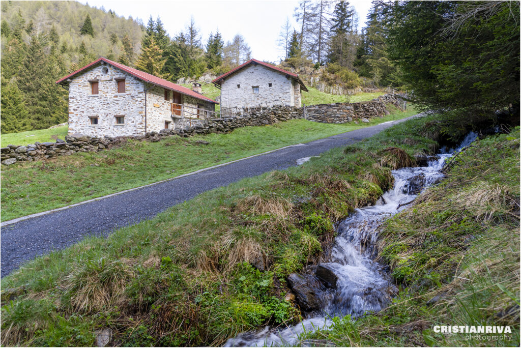 Al Passo Mortirolo da Monno