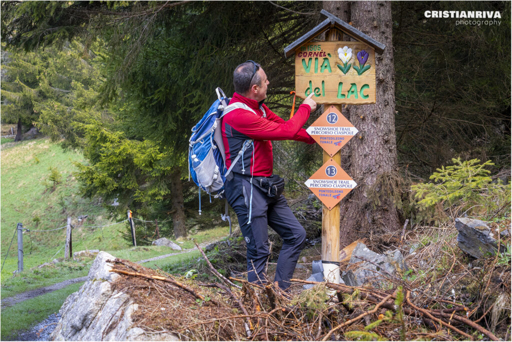 Al Passo Mortirolo da Monno