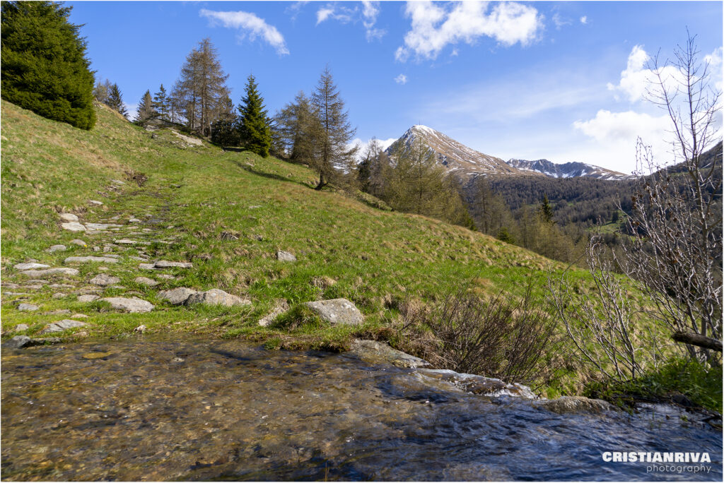 Al Passo Mortirolo da Monno