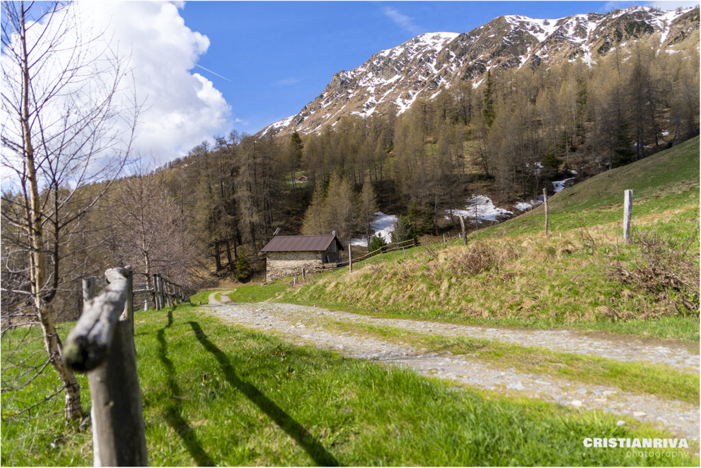 Al Passo Mortirolo da Monno