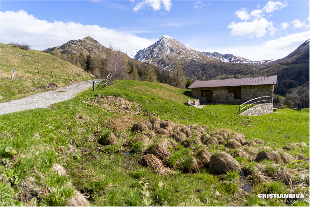 Al Passo Mortirolo da Monno