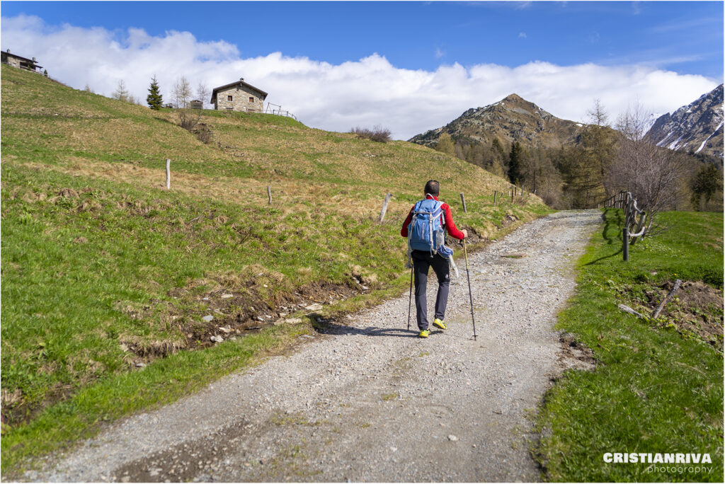 Al Passo Mortirolo da Monno