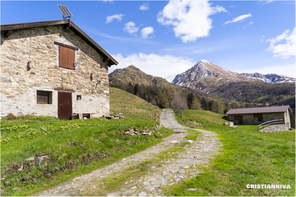 Al Passo Mortirolo da Monno