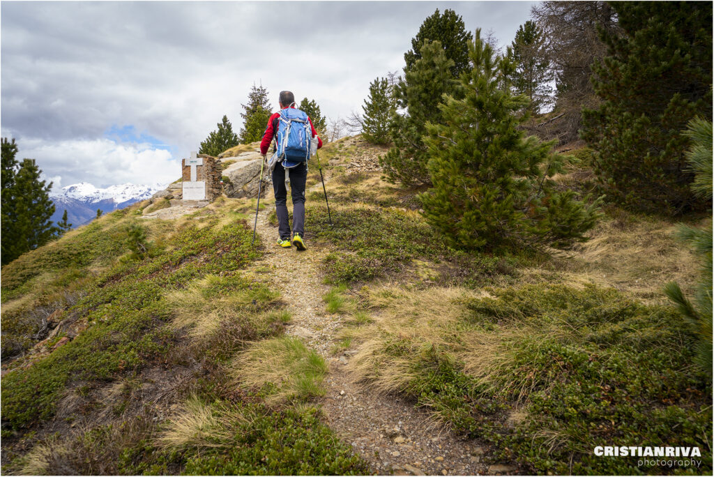 Al Passo Mortirolo da Monno