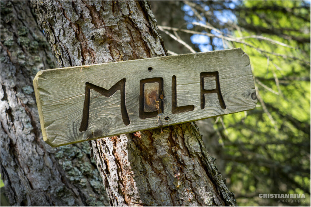 Motto della Scala