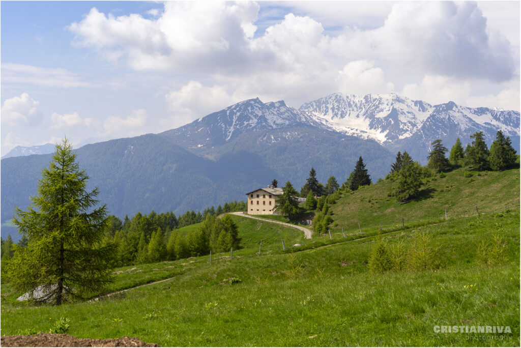 Motto della Scala