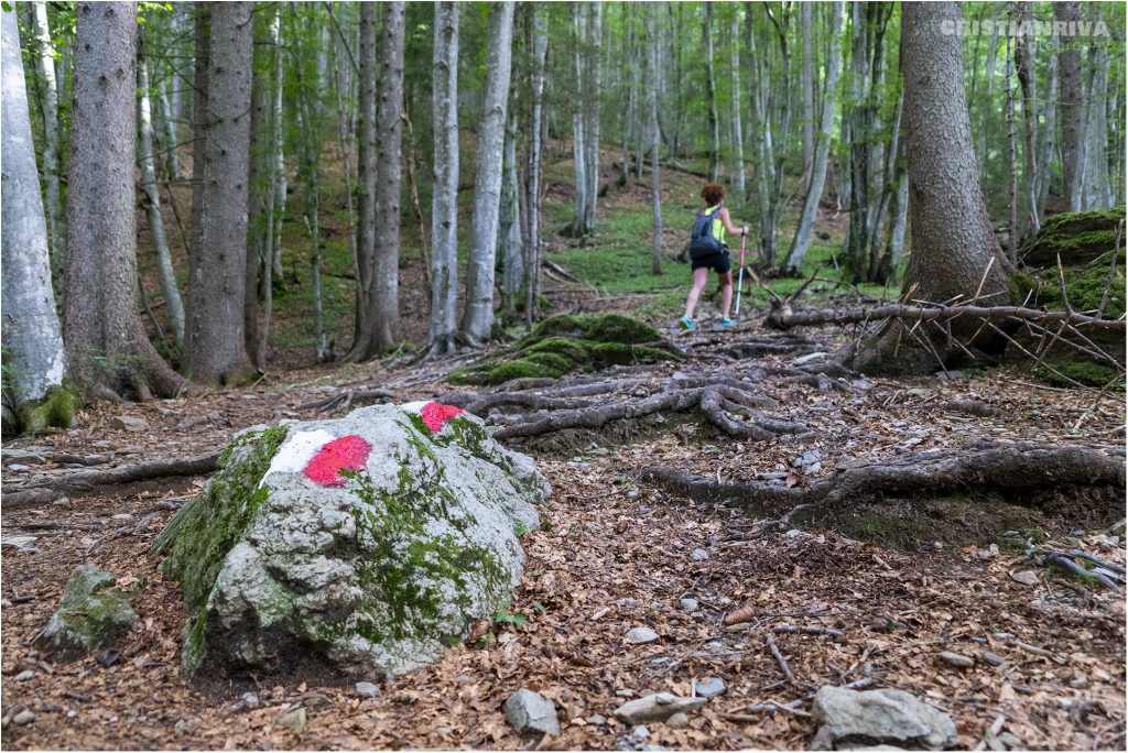 Monte Cabianca da Valgoglio